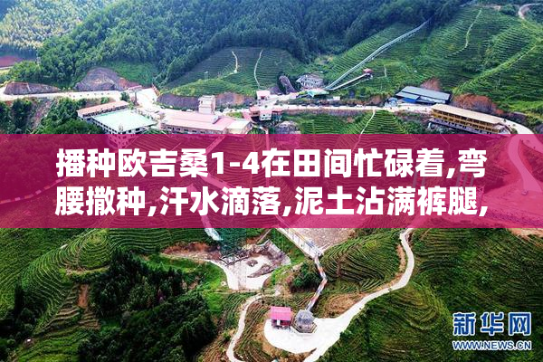 播种欧吉桑1-4在田间忙碌着,弯腰撒种,汗水滴落,泥土沾满裤腿,却