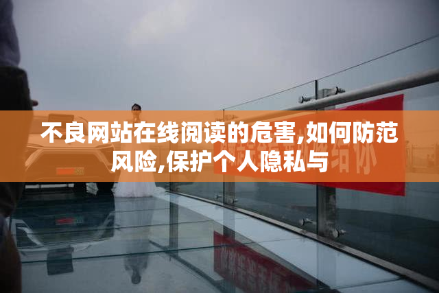 不良网站在线阅读的危害,如何防范风险,保护个人隐私与