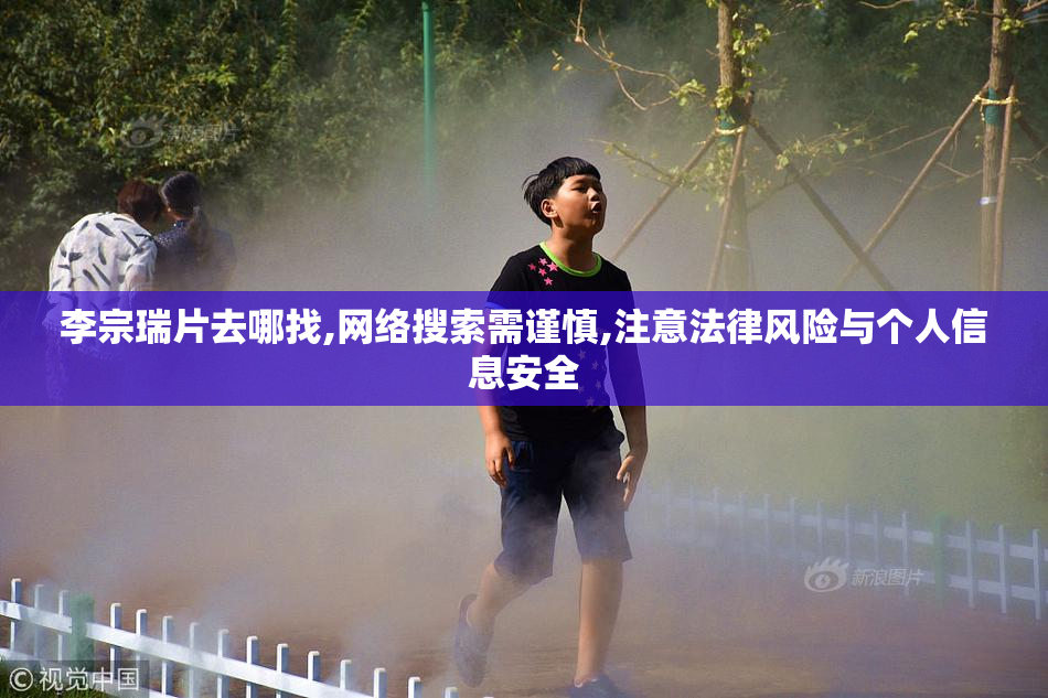 李宗瑞片去哪找,网络搜索需谨慎,注意法律风险与个人信息安全