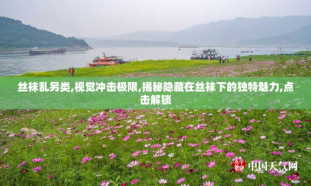 丝袜乱另类,视觉冲击极限,揭秘隐藏在丝袜下的独特魅力,点击解锁