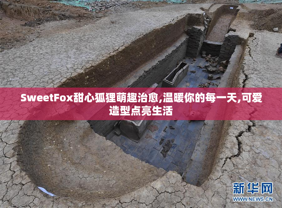 SweetFox甜心狐狸萌趣治愈,温暖你的每一天,可爱造型点亮生活