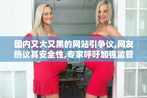 国内又大又黑的网站引争议,网友热议其安全性,专家呼吁加强监管