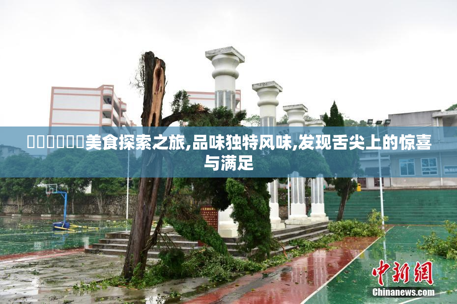 馃崋馃崒馃敒美食探索之旅,品味独特风味,发现舌尖上的惊喜与满足