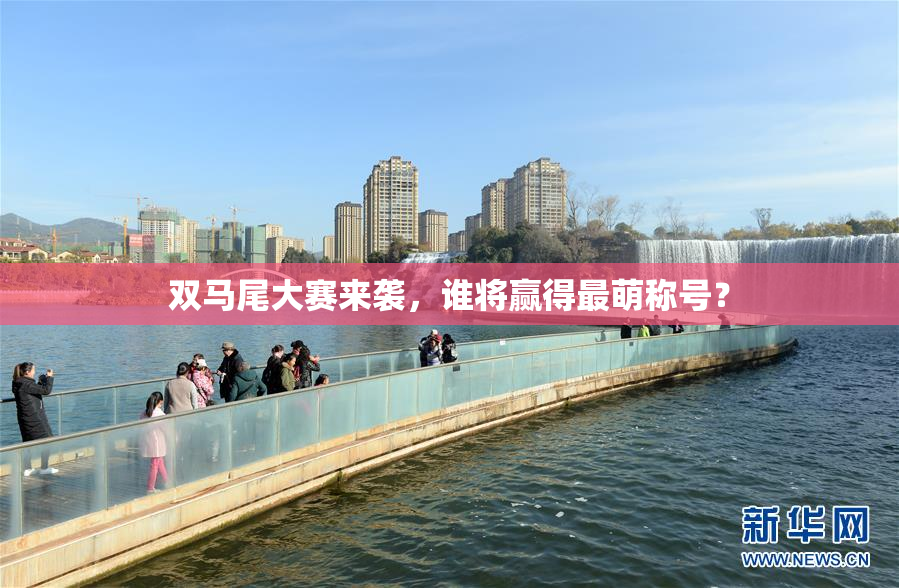 双马尾大赛来袭，谁将赢得最萌称号？