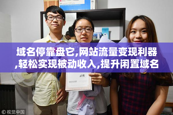 域名停靠盘它,网站流量变现利器,轻松实现被动收入,提升闲置域名价值