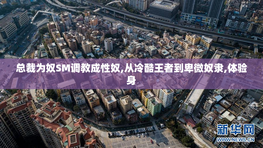 总裁为奴SM调教成性奴,从冷酷王者到卑微奴隶,体验身