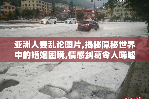 亚洲人妻乱论图片,揭秘隐秘世界中的婚姻困境,情感纠葛令人唏嘘