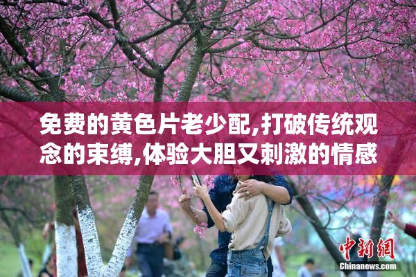 免费的黄色片老少配,打破传统观念的束缚,体验大胆又刺激的情感