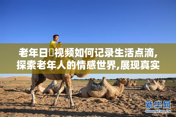 老年日屄视频如何记录生活点滴,探索老年人的情感世界,展现真实而