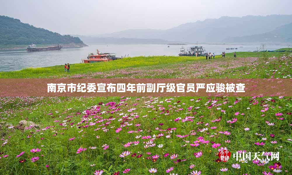 南京市纪委宣布四年前副厅级官员严应骏被查