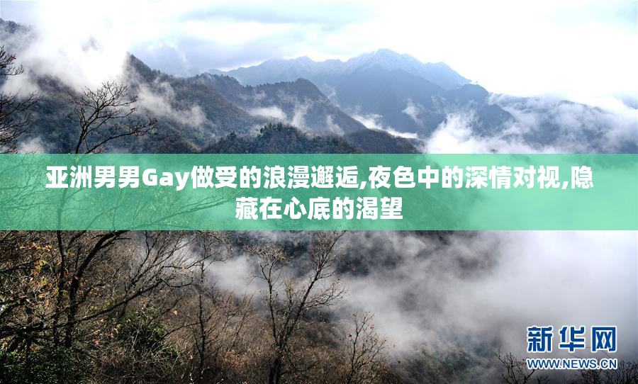 亚洲男男Gay做受的浪漫邂逅,夜色中的深情对视,隐藏在心底的渴望