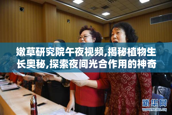 嫩草研究院午夜视频,揭秘植物生长奥秘,探索夜间光合作用的神奇现象
