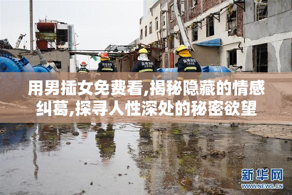 用男插女免费看,揭秘隐藏的情感纠葛,探寻人性深处的秘密欲望