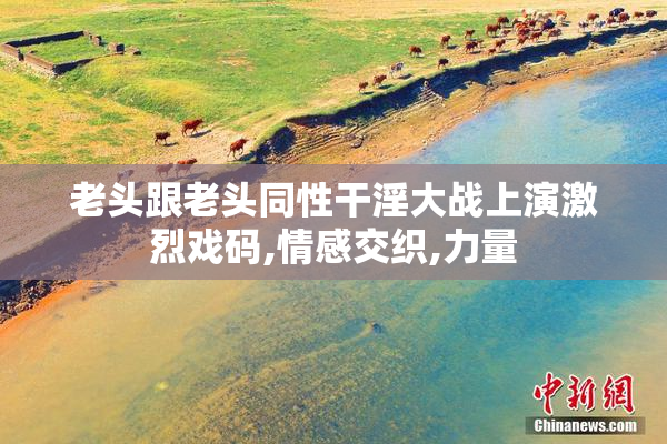 老头跟老头同性干淫大战上演激烈戏码,情感交织,力量