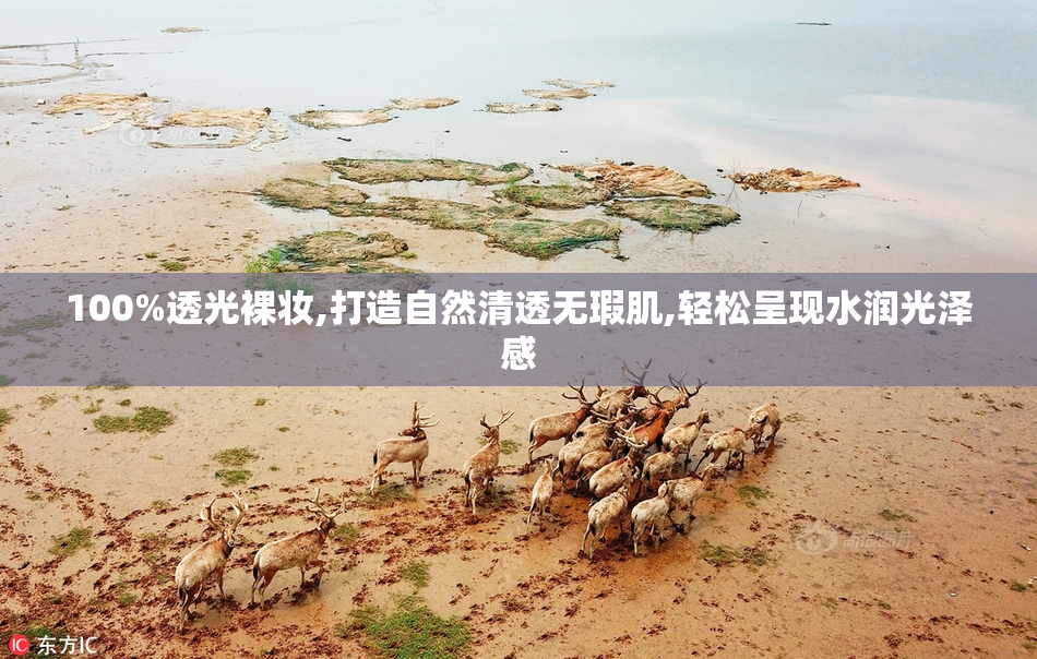 100%透光裸妆,打造自然清透无瑕肌,轻松呈现水润光泽感
