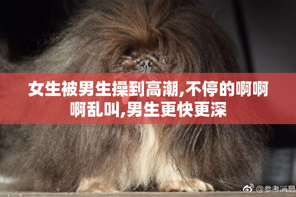 女生被男生操到高潮,不停的啊啊啊乱叫,男生更快更深