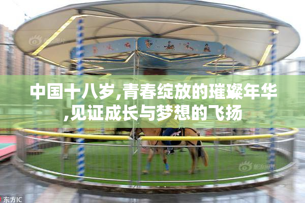 中国十八岁,青春绽放的璀璨年华,见证成长与梦想的飞扬