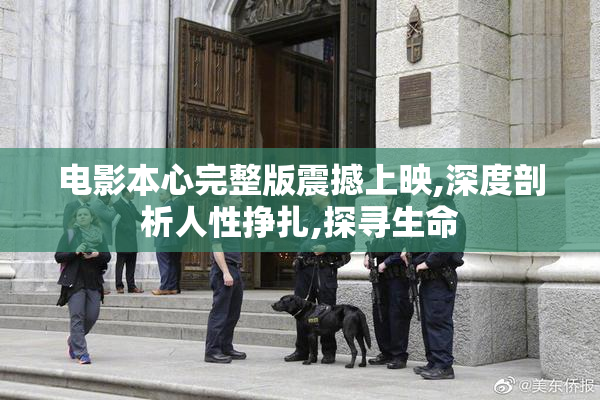 电影本心完整版震撼上映,深度剖析人性挣扎,探寻生命