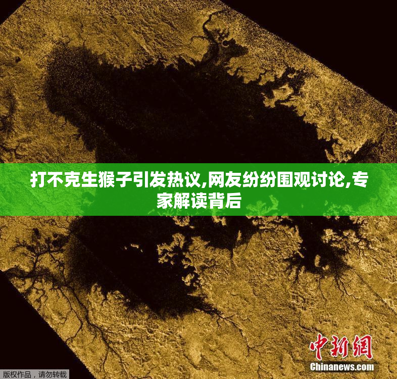 打不克生猴子引发热议,网友纷纷围观讨论,专家解读背后