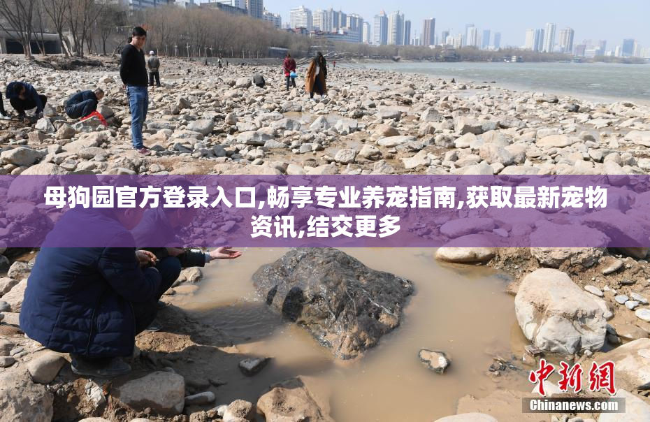 母狗园官方登录入口,畅享专业养宠指南,获取最新宠物资讯,结交更多
