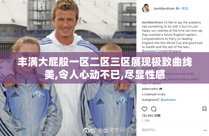 丰满大屁股一区二区三区展现极致曲线美,令人心动不已,尽显性感