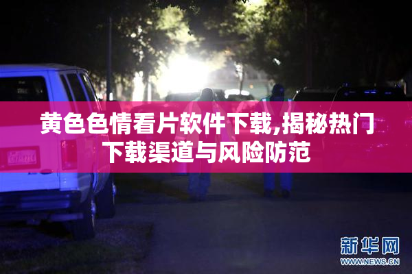 黄色色情看片软件下载,揭秘热门下载渠道与风险防范