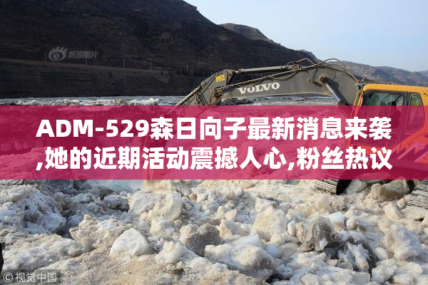 ADM-529森日向子最新消息来袭,她的近期活动震撼人心,粉丝热议不断