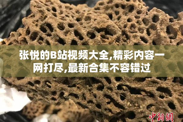 张悦的B站视频大全,精彩内容一网打尽,最新合集不容错过