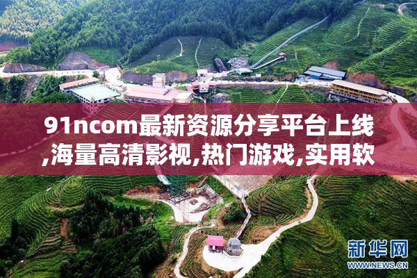91ncom最新资源分享平台上线,海量高清影视,热门游戏,实用软件免费
