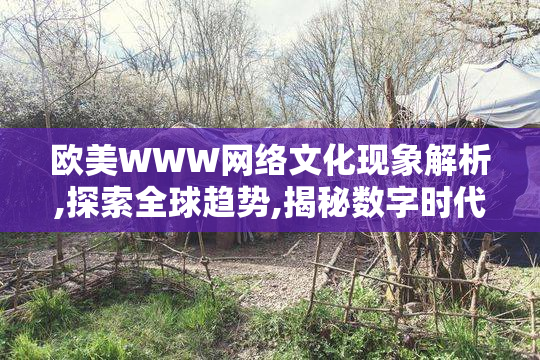 欧美WWW网络文化现象解析,探索全球趋势,揭秘数字时代