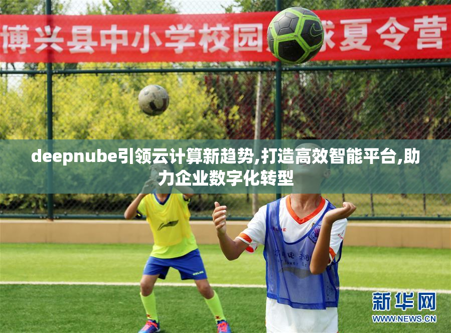 deepnube引领云计算新趋势,打造高效智能平台,助力企业数字化转型