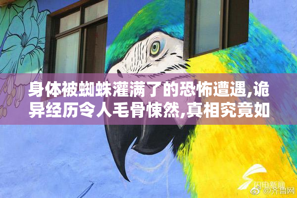 身体被蜘蛛灌满了的恐怖遭遇,诡异经历令人毛骨悚然,真相究竟如何