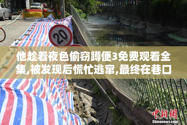 他趁着夜色偷窃蹲便3免费观看全集,被发现后慌忙逃窜,最终在巷口被