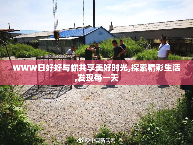 WWW日好好与你共享美好时光,探索精彩生活,发现每一天