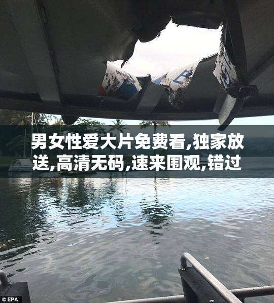 男女性爱大片免费看,独家放送,高清无码,速来围观,错过