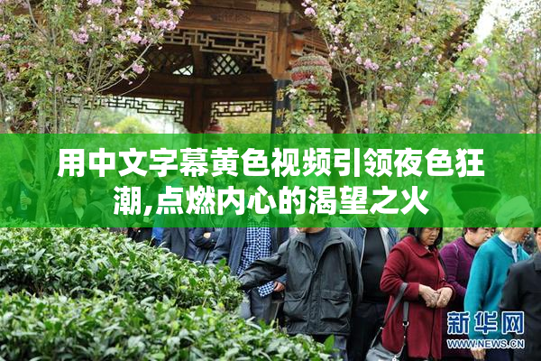 用中文字幕黄色视频引领夜色狂潮,点燃内心的渴望之火