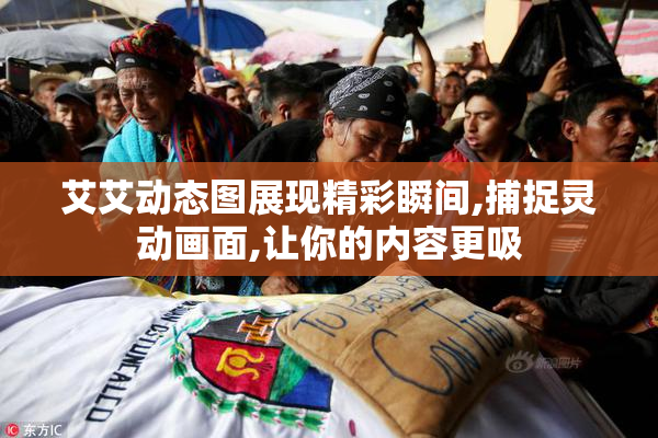 艾艾动态图展现精彩瞬间,捕捉灵动画面,让你的内容更吸