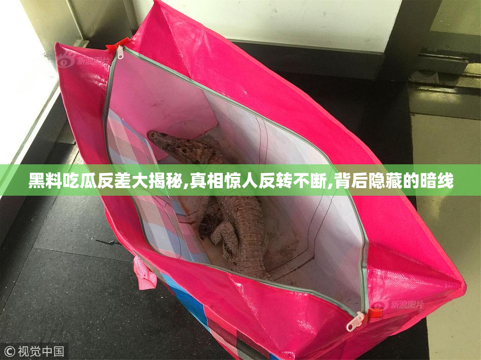 黑料吃瓜反差大揭秘,真相惊人反转不断,背后隐藏的暗线