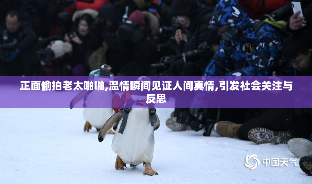 正面偷拍老太啪啪,温情瞬间见证人间真情,引发社会关注与反思
