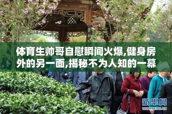 体育生帅哥自慰瞬间火爆,健身房外的另一面,揭秘不为人知的一幕