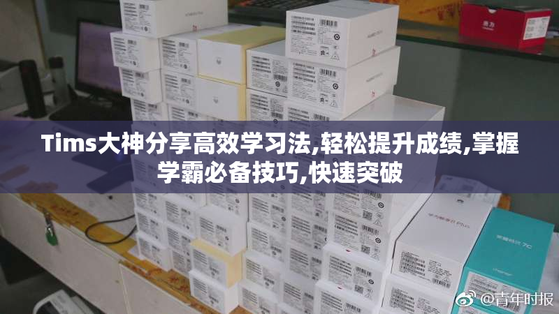 Tims大神分享高效学习法,轻松提升成绩,掌握学霸必备技巧,快速突破