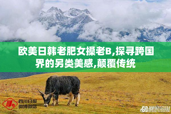 欧美日韩老肥女搡老B,探寻跨国界的另类美感,颠覆传统