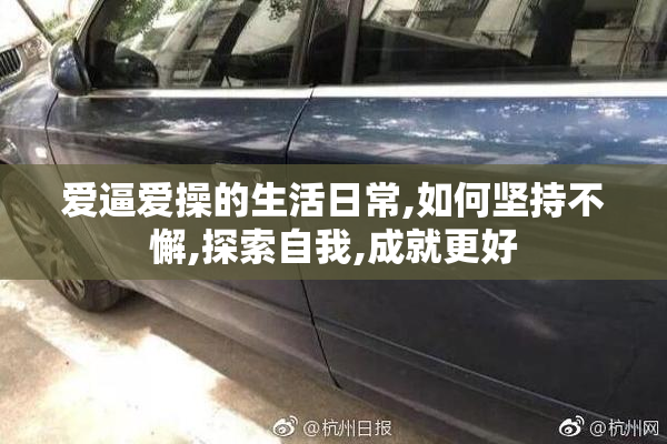 爱逼爱操的生活日常,如何坚持不懈,探索自我,成就更好