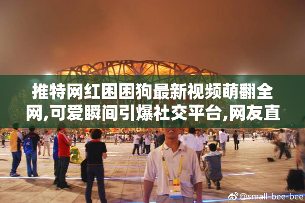 推特网红困困狗最新视频萌翻全网,可爱瞬间引爆社交平台,网友直呼