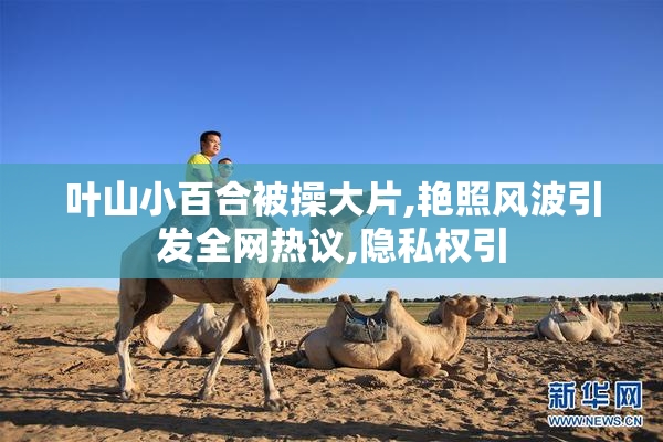 叶山小百合被操大片,艳照风波引发全网热议,隐私权引