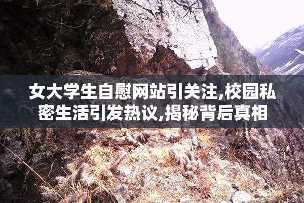 女大学生自慰网站引关注,校园私密生活引发热议,揭秘背后真相