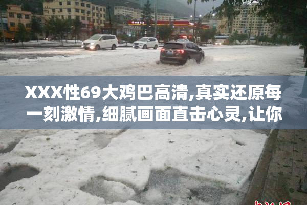 XXX性69大鸡巴高清,真实还原每一刻激情,细腻画面直击心灵,让你
