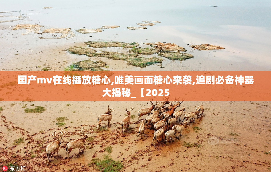 国产mv在线播放糖心,唯美画面糖心来袭,追剧必备神器大揭秘_【2025