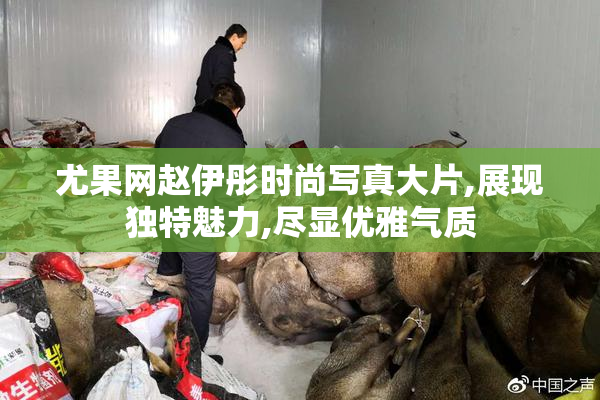 尤果网赵伊彤时尚写真大片,展现独特魅力,尽显优雅气质