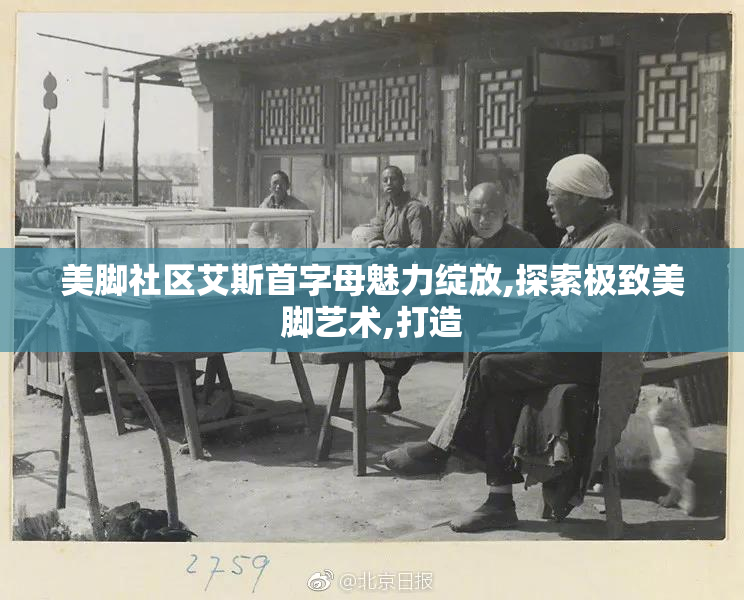 美脚社区艾斯首字母魅力绽放,探索极致美脚艺术,打造